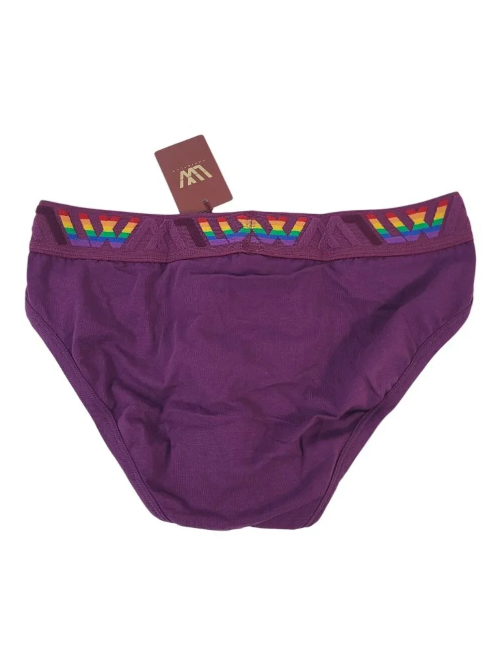 LVW Dutch Luxury Purple Briefs With Rainbow Waistband Organic Cotton Sz Small